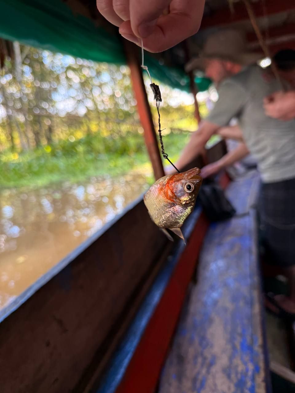 И это называется покрупнее