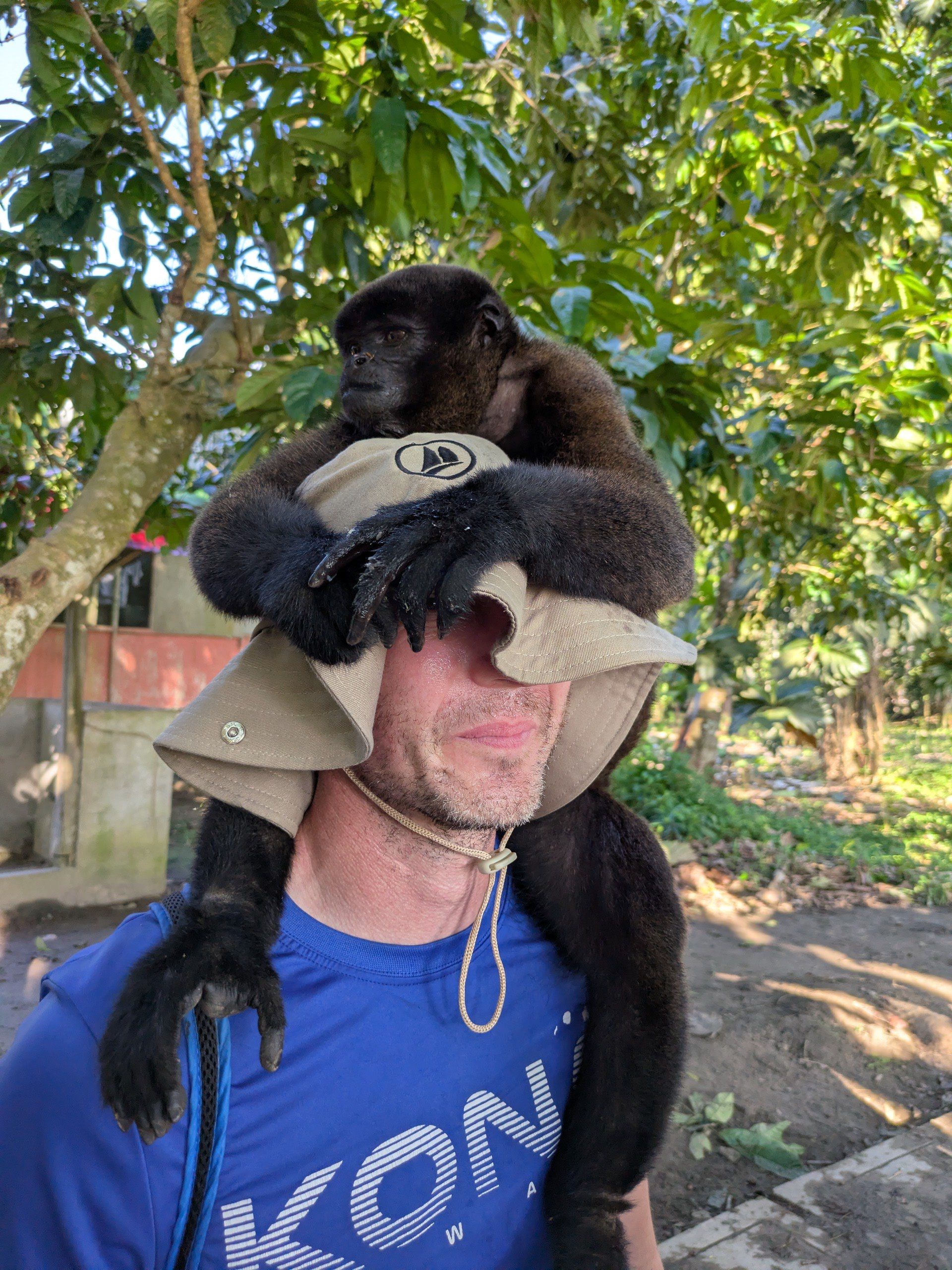 Обезьяны из местного приюта совсем ручные