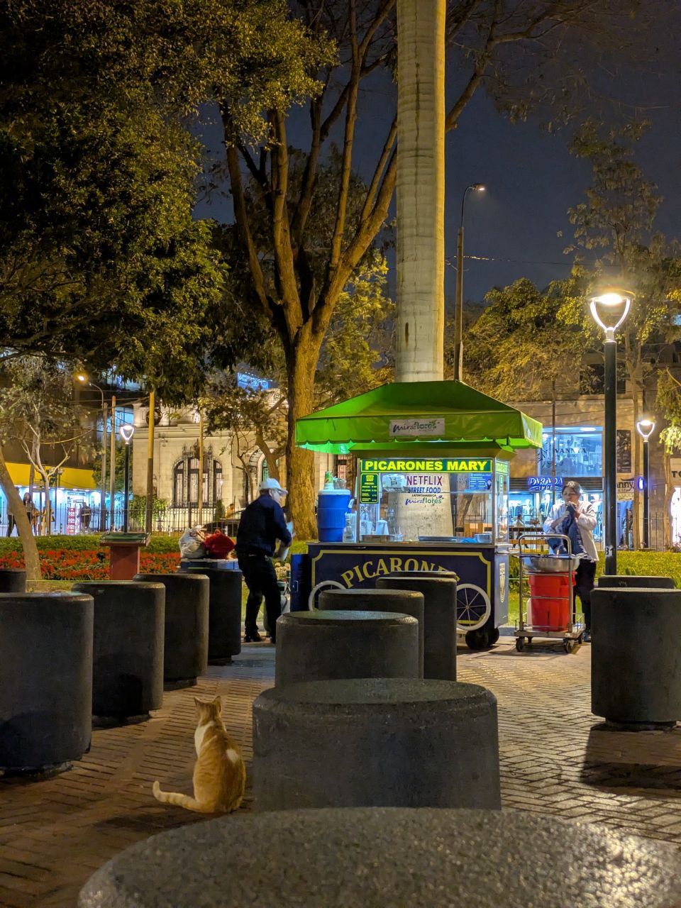 Пикаронес! Такие жареные бублики с мёдом. Очень рекомендую!