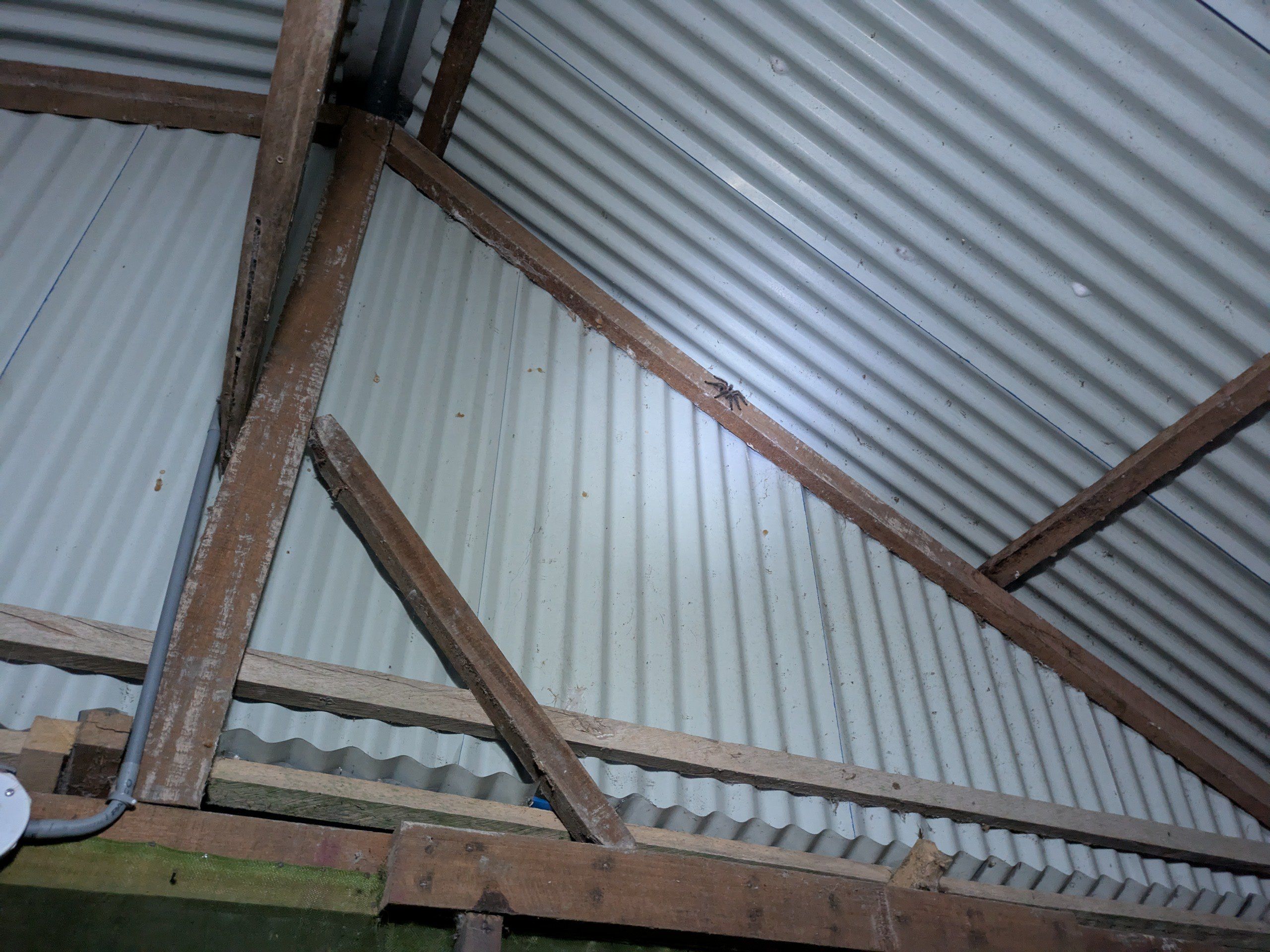 Добрый вечер