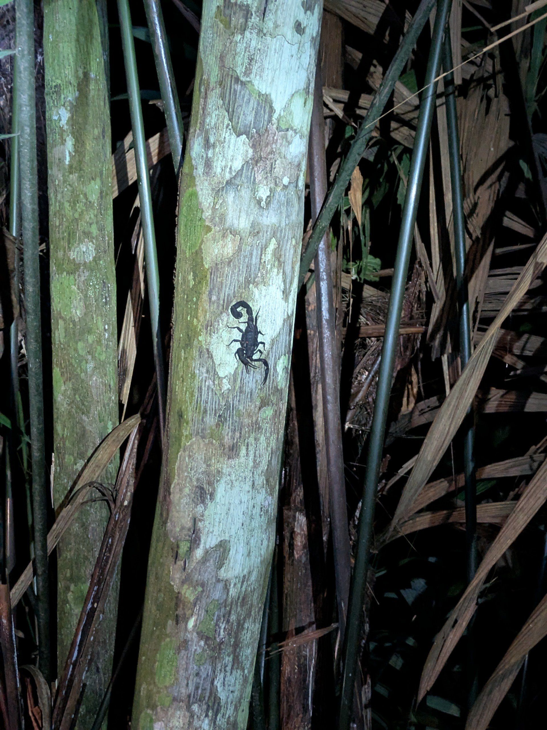 А эта около 10